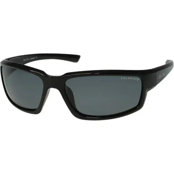 Blue Steel 4206 B02-T0S Sunglasses 1 Blue Steel 4206 B02-T0S Sunglasses