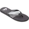 Quiksilver Men’s Molokai Resin Tint Thongs
