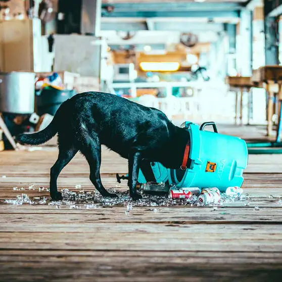 BOTE KULA 5 Cooler Aqua Blue 2 BOTE KULA 5 Cooler Aqua Blue - Image 2