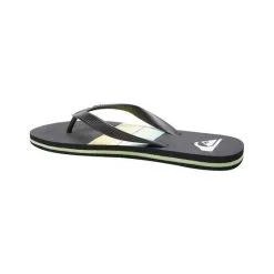 Quiksilver Men's Molokai Resin Tint Thongs